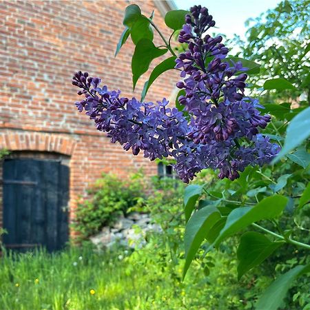 Apartmán Alte Baeckerei Gnade Auf Ruegen Sehlen Exteriér fotografie